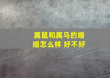 属鼠和属马的婚姻怎么样 好不好